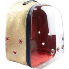 Glipet Snake Şeffaf Astronot Kedi Köpek Taşıma Çantası 42X22X33 cm Sarı