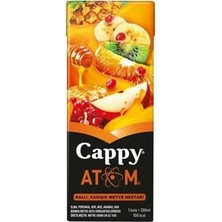Bezos Atom 200ML Tetra