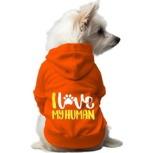 Mey İthalat Kedi ve Köpek Kıyafeti & Elbisesi Turuncu Hoodie I Love My Human Xs