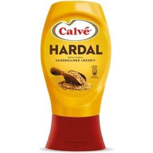 Bezos Sos Hardal 250GR