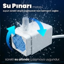 Aquata Yedek Su Pompası Kedi Su Pınarı Yedek Motoru