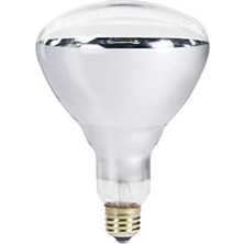 Ledvance 250W Infrared Şeffaf Ampul E27