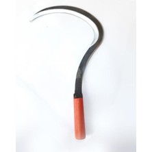 TeknoKapsül Orak Orta Boy