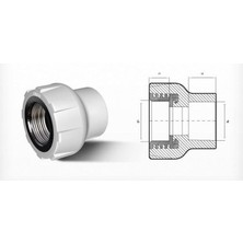 Ozka Concept Ege Yıldız Pprc 40X1 1/4 Dişi Adaptör Gri