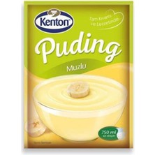 Ozka Concept Puding Muzlu 125GR