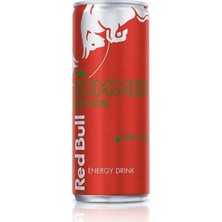 Ozka Concept Içeceği Karpuz 250ML