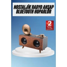 Nurton Gramafon Radyo Bluetooth Hoparlör Nostaljik Radyo Fm Radyo