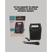 Nurton 15W Güçlü Ses Çıkışlı Bluetooth Hoparlör Fm Radyo ve Mikrofon Destekli