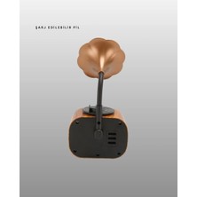 Nurton Retro Tasarımlı Mini Bluetooth Hoparlör ve Fm Radyo Çoklu Medya Yeni Nesil