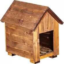 Kumsal Concept Köpek Kulübesi Ahşap Köpek Evi Köpek Yuvası 2023