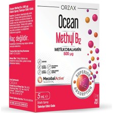 Brf Store Pmstore Ocean Methyl B12 Dilaltı Sprey 500MCG 5 ml