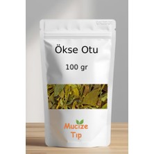 Mucize Tıp Ökse Otu Kurusu Dökme 100 gr