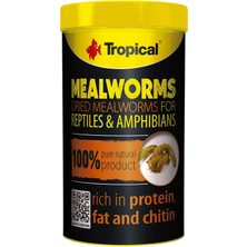 Brf Store Pmstore Tropical Meal Worms Un Kurdu 250ML 30 gr