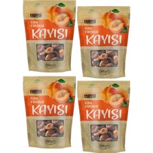 Harras Yerli Doğal Gün Kurusu Kayısı Yumuşak Taze 4 Adet x 300 gr