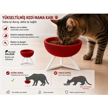 Voloyas Yükseltilmiş Kedi Mama Kabı – Ergonomik Kedi Mama ve Su Kabı | Modern Tasarım