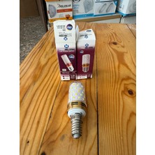 Winlight E14 Duylu 3 Fonksiyonlu Mısır Ampül 3 Çeşit Renkli