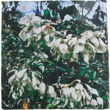 Bijuteri Net Çiçek Desenli Zr Şifon Fular 50*50 cm