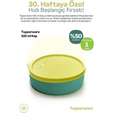 Tupperware Saklama Kabı