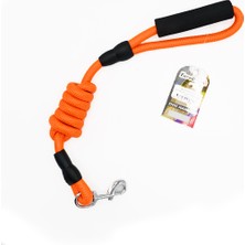 Euro Dog Aconcept Eurodog Köpek Uzatma 14MMX120CM Turuncu