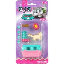 Uravas Store Evcil Hayvan Yavru Kedi