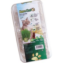 Aconcept Eurocat  Çimi