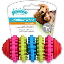Aconcept Pawise Rainbow World Dişli 11 cm