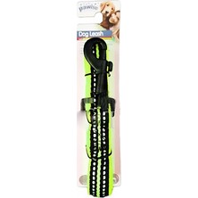 Aconcept Pawise Reflektörlü Köpek Tasması Yeşil 20MM 120CM