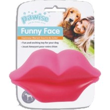 Aconcept Pawise Vinyl Toy-Lip Köpek Oyuncağı