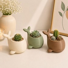 My Craft 3D 3’lü Sevimli Balina Saksı Seti – Minik Kaktüs ve Sukulent Saksısı