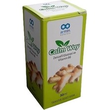 Renas Store Armin Calm Way Zencefil Vitamin B6 30ML Damla