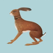 Plak Dolabı Vashti Bunyan – Lookaftering Lp Plak