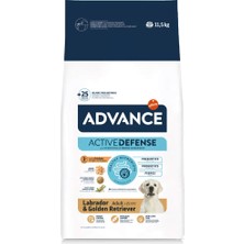 Aconcept Advance Dog Labrador 11,5kg