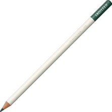 Tombow : Irojiten : Kuru Boya Kalemi : Scouring Rush