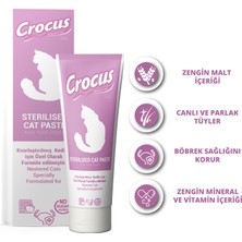 Aconcept Crocus Kedi Sterilised Malt Macunu 100 Gram x 2 Adet
