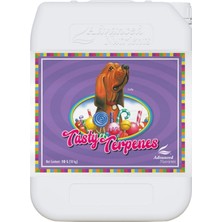 Advanced Nutrients Tasty Terpenes 10 Litre