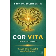 Renas Store Cor : Demir Protokolü