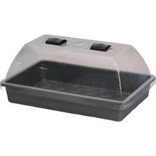 Grow Wizard Mini Sera Orta 24 cm x 38 cm x 19 cm
