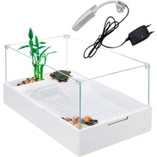 Aconcept Sobo Cam Kaplumbağa Bahçesi Filtre-Lambalı 60X35X25