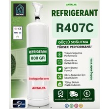 Dogant Refrigerant R407C Soğutucu Klima Gazı 800 Gram