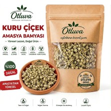 Otluva Çiçek Bamya Kurusu Amasya
