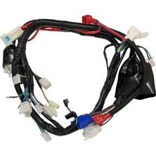 GMS Mondial Drift L 125 Elektrik Tesisatı