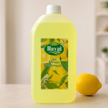 Renas Store Limon Kolonya 5l Bidon