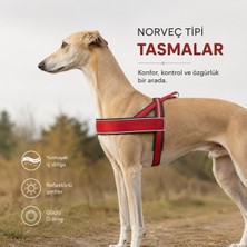 Hunter Norweger Racing Köpek Göğüs Tasması M-L 62 75 cm Kırmızı/siyah