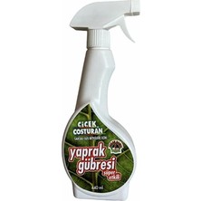 Ozka Concept 2700 Çiçek Costuran Yaprak Gübresi Sprey 440 ml