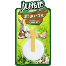 Jungle Kemirgen Yalama Taşı
