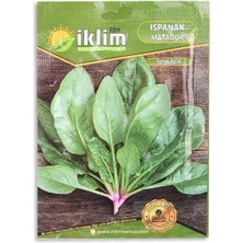 Hobibahçem Tohum Ispanak Matador 10GR