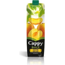 Hobibahçem Kayısı Meyve Suyu 1 Lt.
