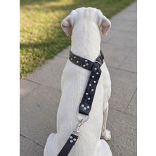 Balkonda Köpek Boyun Tasması Ayarlanabilir Büyük Irk 4 cm Genişlik Kot Siyah - Gri