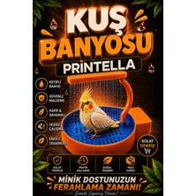 Printella Usb'li Otomatik Kuş Banyosu ve Suluk Şelalesi | Açma Kapama Tuşlu Sessiz Su Pınarı Kuş Oyuncağı