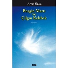 Esranın Dünyası Bezgin Martı ve Çılgın Kelebek - Edebiyatta Karakter Incelemesi